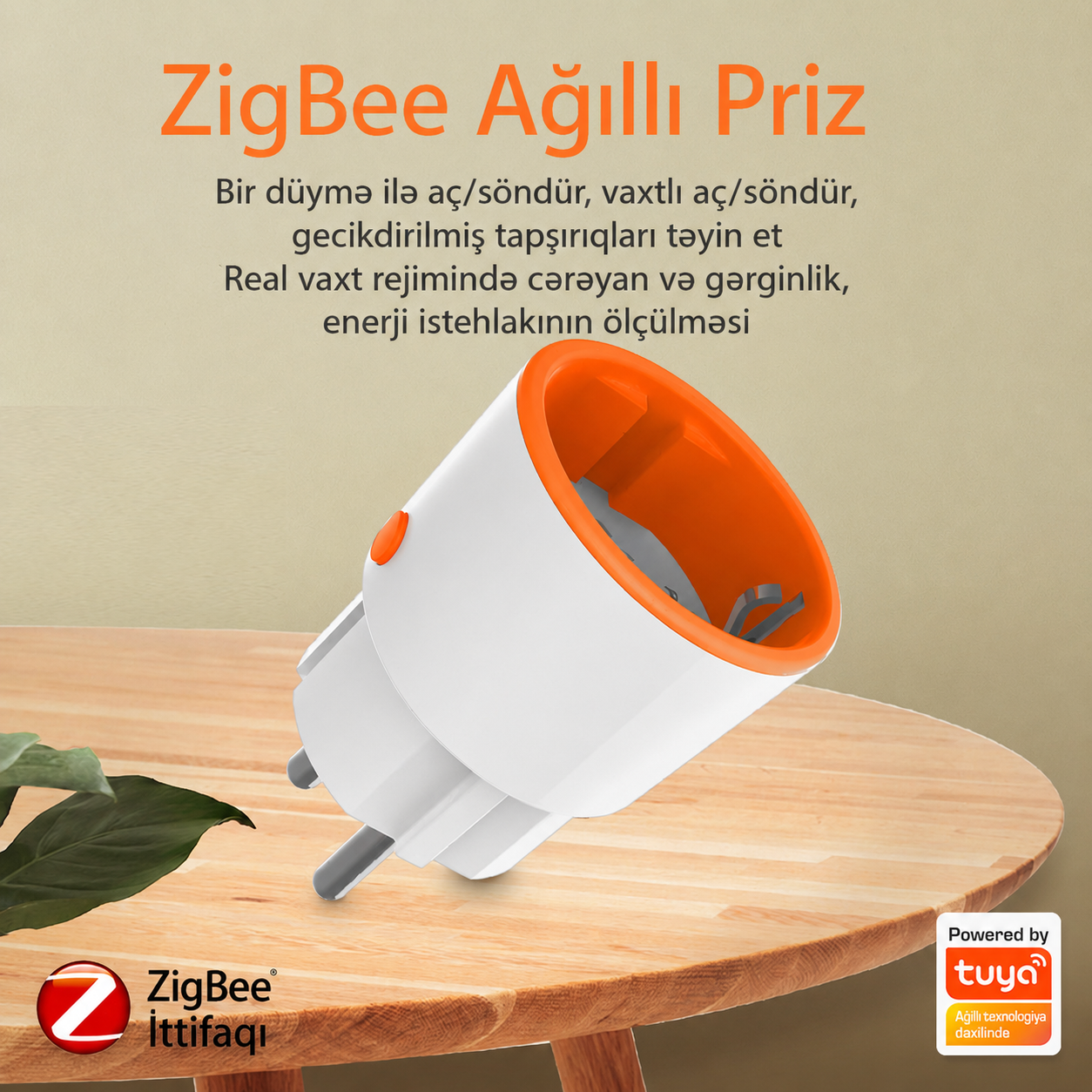 ZigBee Smart Plug 16A